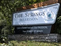The Springs of Harrison