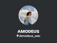 Amodeus Healthcare & Psychiatry Svs LLC