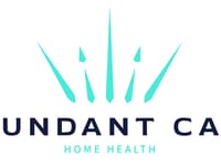 Abundant Consumer Direct Services
