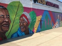 DESHI SENIOR CENTERLLC