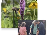 Fairbanks Court Assisted Living