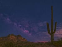 Arizona Shining Star #2