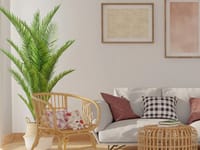 Dgj Home Healthcare