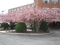 Riverside Health and Rehabilitation Center LLC