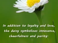 2 Guiding Hands Home Health Services LLC