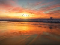 Beacon Of Strength Supportive Services, LLC