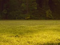 Butler Chiropractic LLC