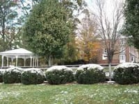 Black Mountain Neuro-Medical Treatment Center