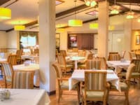 Vsl Springfield Assisted Living, Llc