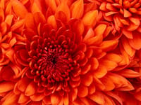 Allina Health Hospice & Palliative Care