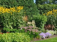 4 Seasons Lawn & Snow LLC