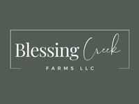 A Blessing Away From Home 2 Llc
