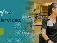 Catholic Eldercare on Main