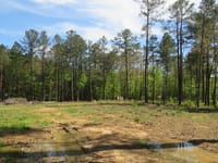 Attala Emergency Group LLC