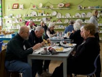 BEST LOVE & CARE ADULT DAY CLUB, LLC