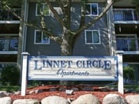 All Hopes At Linnet