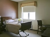 Bridge Care INC