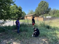 A Little Help Transportation Program