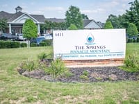 The Springs of Pinnacle Mountain