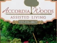 Accordia Woods