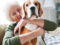 Avista Sun City West Memory Care