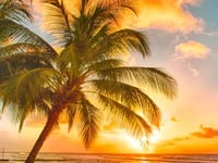 Graceful Palms Hospice and Palliative Care Corp.