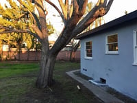 Blythe Street Elderly Care