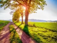 Community Care Services Hospice