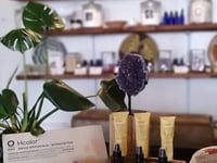 Abloom Health LLC