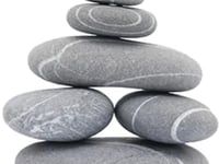 Fortress Global Solutions LLC