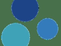 Diversity Care Providers Inc
