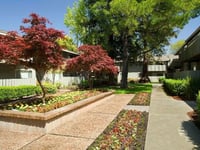 Cherry Villa
