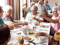Bridgeview Adult Day Center Llc