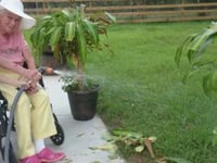 Northgate Assisted Living