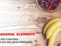 Cardinal Elements INC