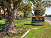 Meadows, The
