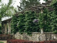 Creative Living Environments Clarion Manor