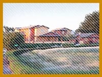 Casa Rosa Elder Care