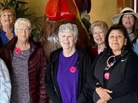 Amistad Senior Wellness Programs INC.