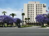 American Veterans Home Health Care