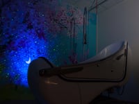 Aseracare Hospice