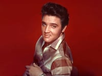 FMC Graceland