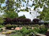 Providence at Home With Compassus Home Health, Napa Valley