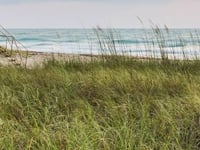 Almost Home Beaches