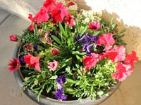 Estancia Assisted Living, Llc