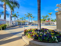 Citrus Court