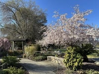 King Road Care Home