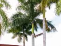 Glades Health Care Center
