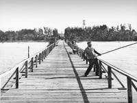 Angels For The Golden Years Of Naples Inc