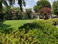 Magnolia Creek Nursing and Rehabilitation